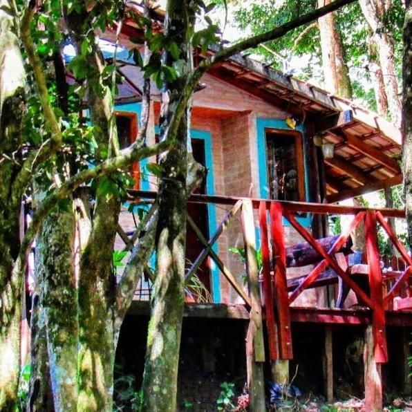 Casa Aconchegante Na Serra. Santo Antônio do Pinhal Exterior foto