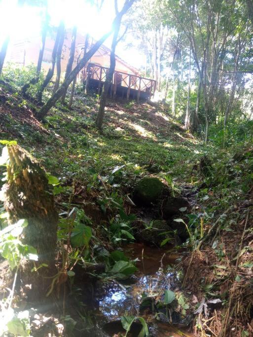 Casa Aconchegante Na Serra. Santo Antônio do Pinhal Exterior foto